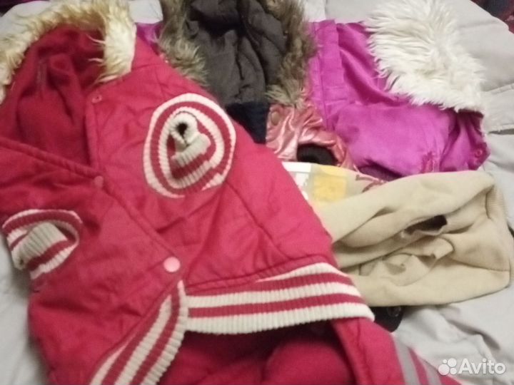 Шлейка натуральная кожа