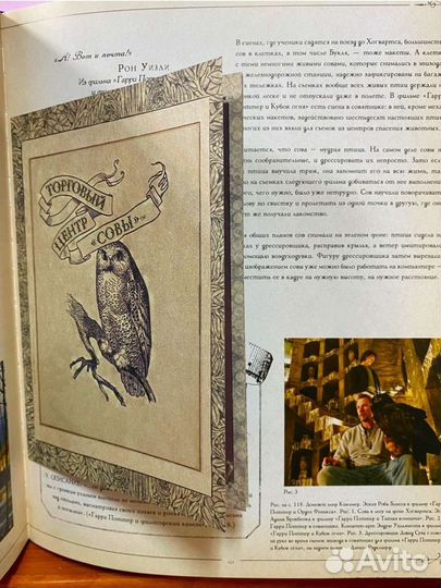 Фантастические существа Гарри Поттер