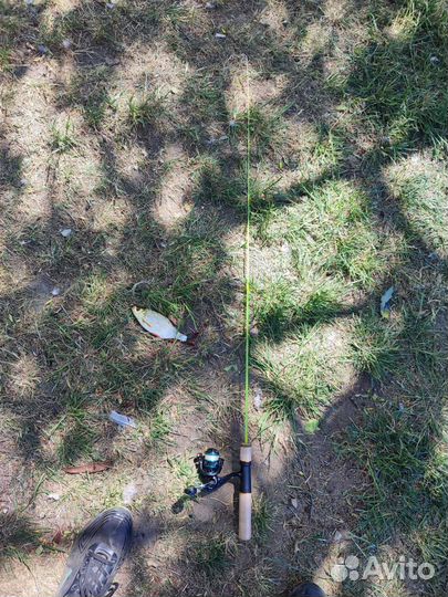 Shimotsuke Turing Monkey sp40 120 см 1-7