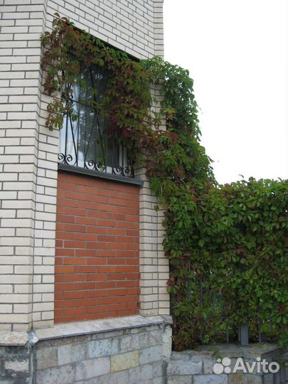 Canon PowerShot A560 цифровой фотоаппарат