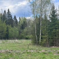 Участок 10,9 сот. (ИЖС)