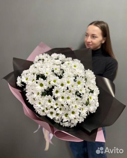 Цветы ромашки хризантемы