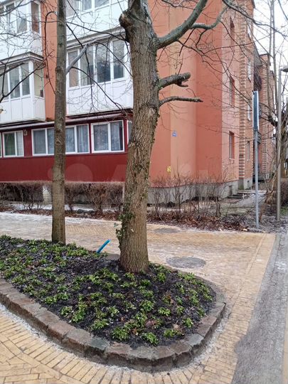 1-к. квартира, 59,1 м², 1/4 эт.