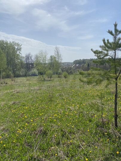 Участок 10 сот. (ИЖС)