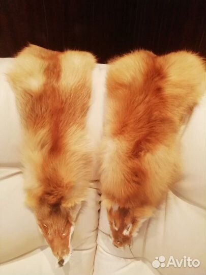 Шкурка лисья