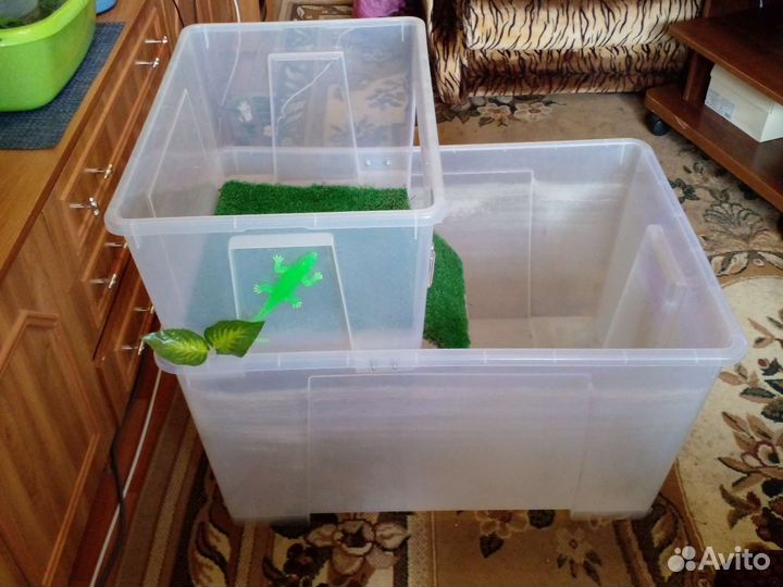 Террариум для красноухой черепахи