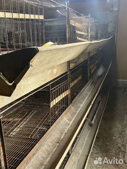 Заводские клетки для птиц