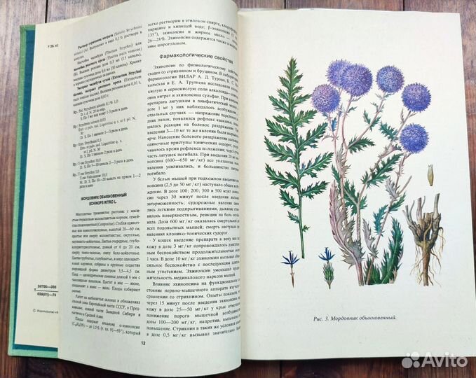 Ботанические книги лекарственные растения