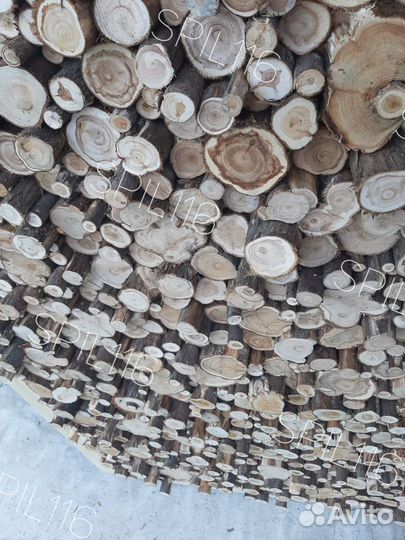 Панно из Кавказского можжевельника