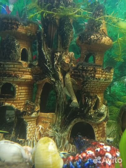 Аквариум с тумбой 240