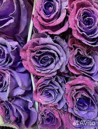 Крашеные радужные синие розы