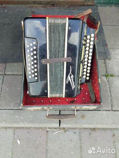 Гармонь чайка