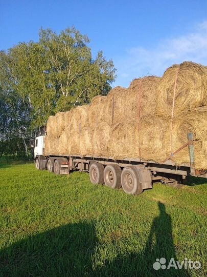 Сено в рулонах 2023