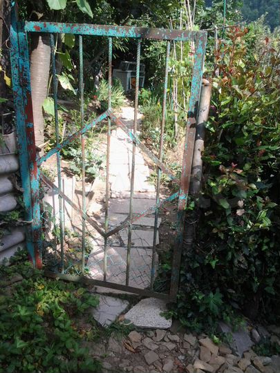 Участок 6 сот. (СНТ, ДНП)