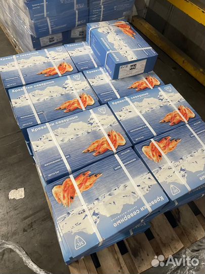 Креветка северная Мурманск