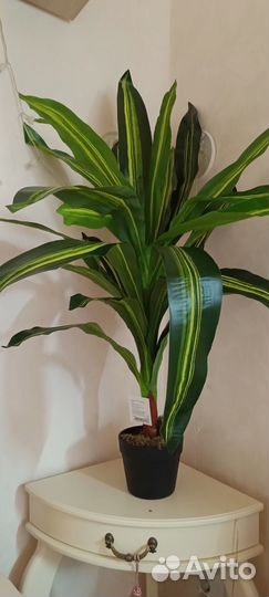 Искусственные растения в горшках Драцена, Plant