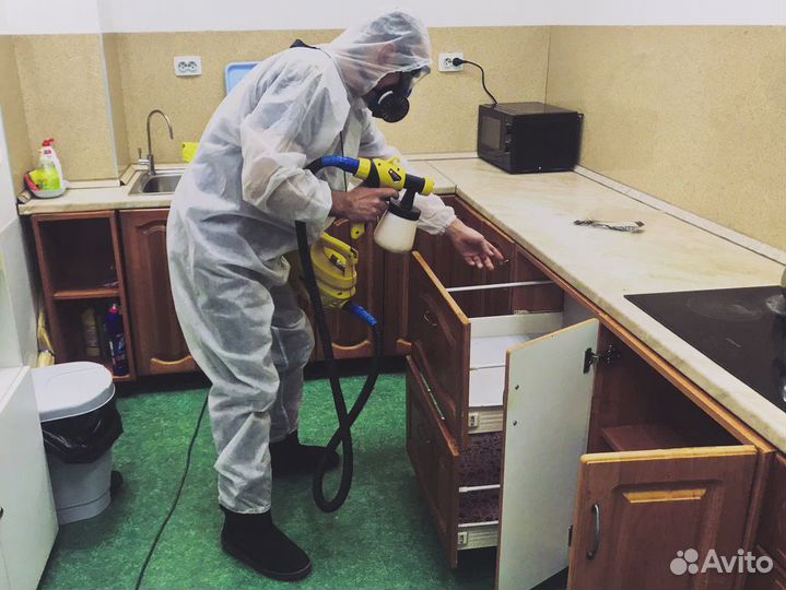 Дезинфекция от насекомых