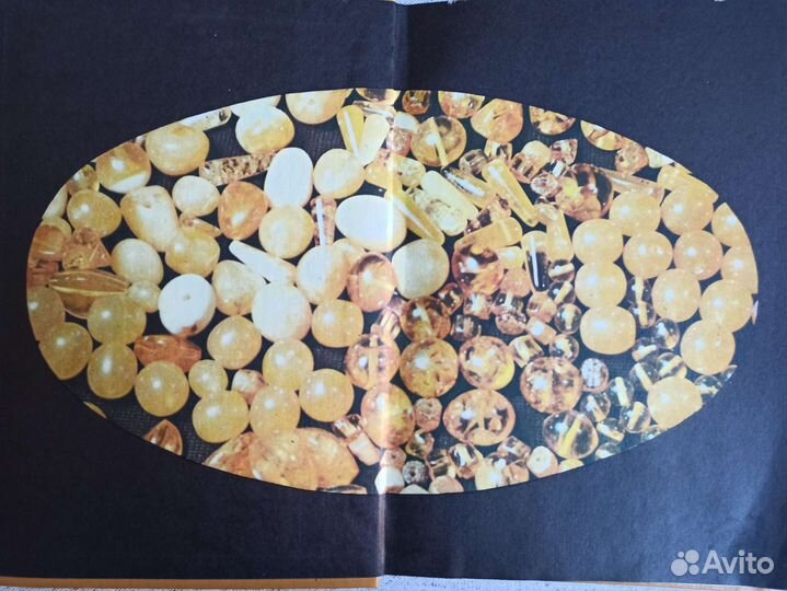 Янтаря открытый свет. Книга с фото. 1983 год