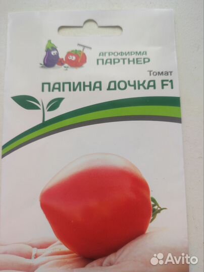 Рассада помидор