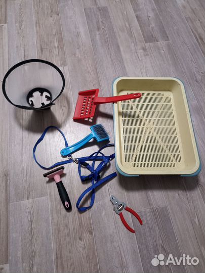 Кошачьи принадлежеости