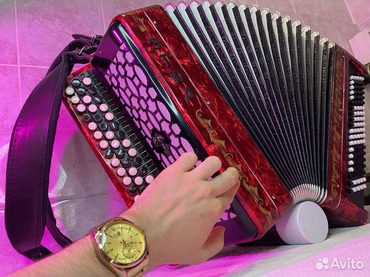 Баян Этюд 205м2 Золотистая роспись Уникальная