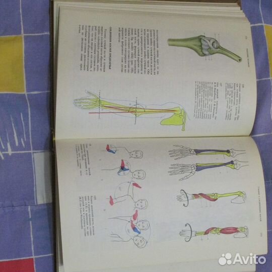 Анатомия человека.Краев.Синельников 2 -х т. Торг