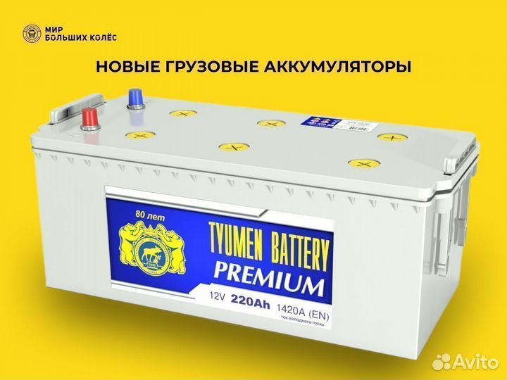 Аккумулятор тюмень премиум 220 Ач