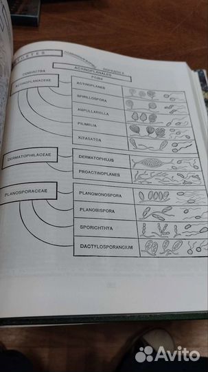 Жизнь растений в 7 томах, 1974г