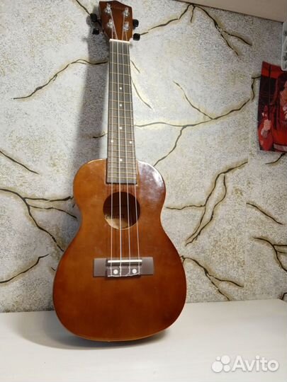 Укулеле концерт