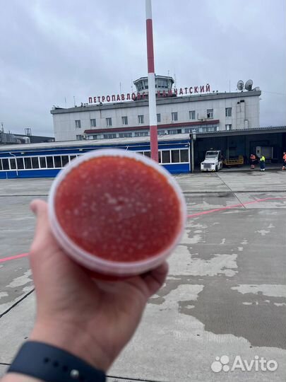 Красная икра 2023