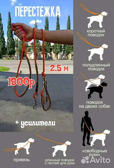 Поводки для собак