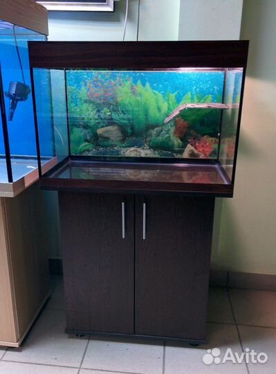 Аквариум 100л. AguaStudio, для черепах, остров