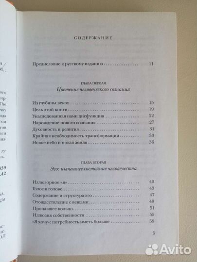 Экхарт Толле Новая земля