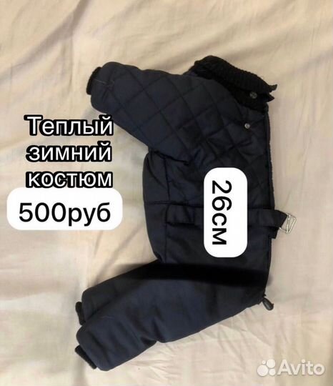 Одежда для собак