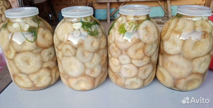 Грузди соленые