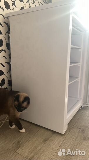 Морозильная камера бирюса 14