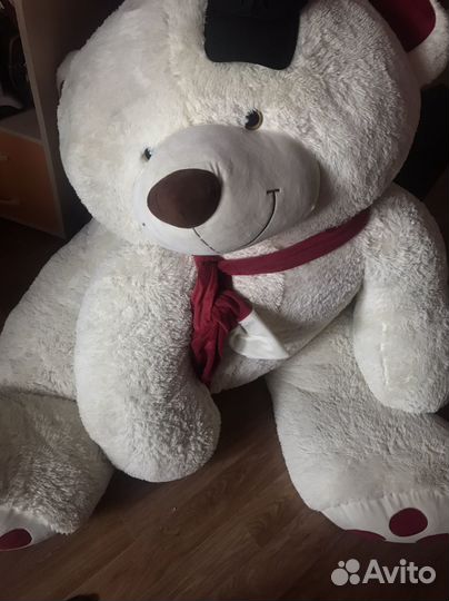 Плюшевый медведь
