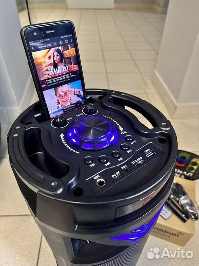Мощная напольная блютуз колонка портативная караок