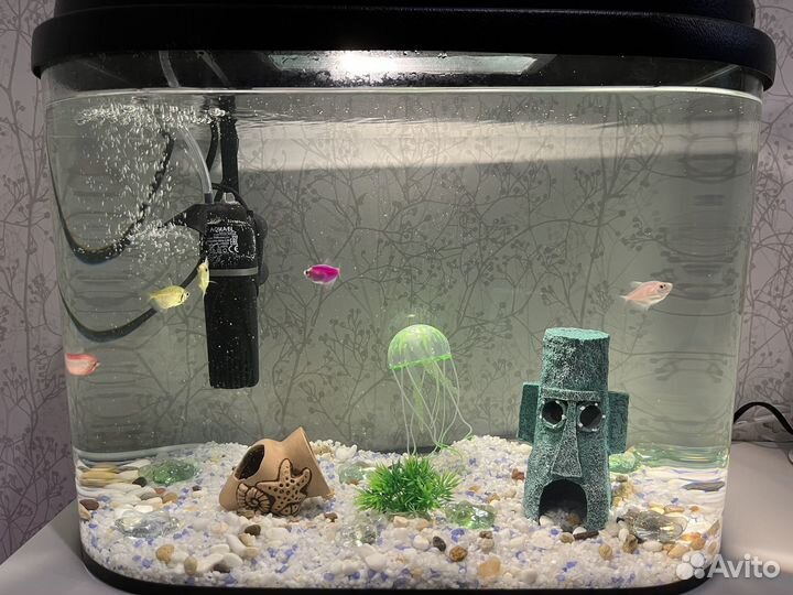 Аквариум