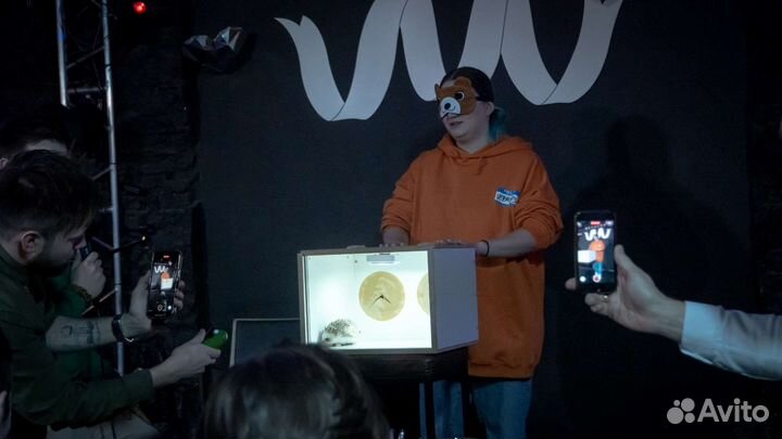 Фан бокс, кажется нащупал, треш бокс