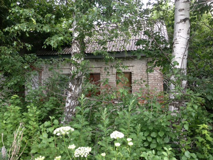 Дом 22 м² на участке 23,5 сот.