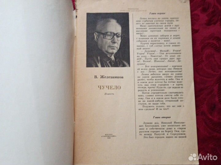 Книга чучело