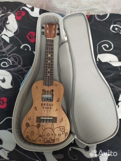 Укулеле концерт Uma