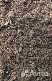 Перегной Коровий, Навоз Коровий