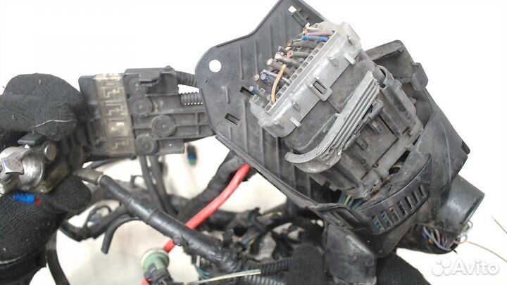 Жгут управления двигателем Ford Fiesta, 2011