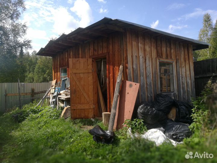 Пчелы пасека