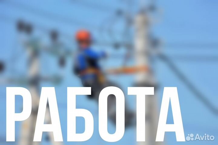 Сборщик яиц Пятигорск