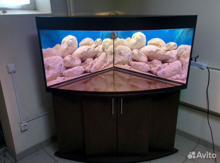 Аквариум 500 угловой полукруглый, биофильтр, тумб