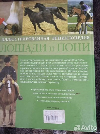 Лошади и пони энциклопедия иллюстрированная