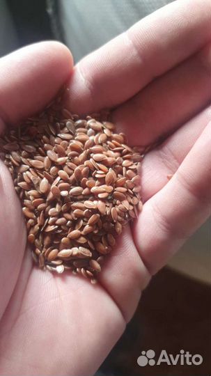 Услуги Очистки, Подработки зерна